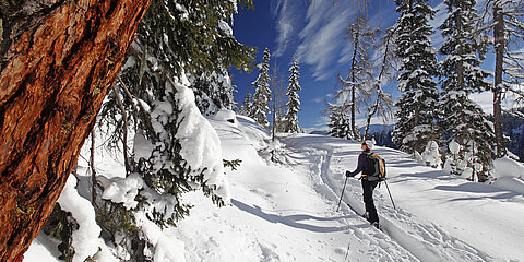 Eine Person bei einer Skitour im Aktivurlaub in Österreich