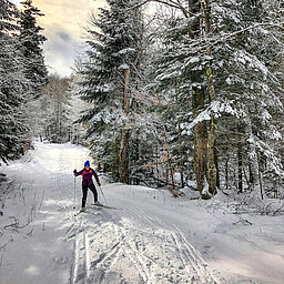 Cross-country skier on a snow-covered forest trail in diffuse winter light