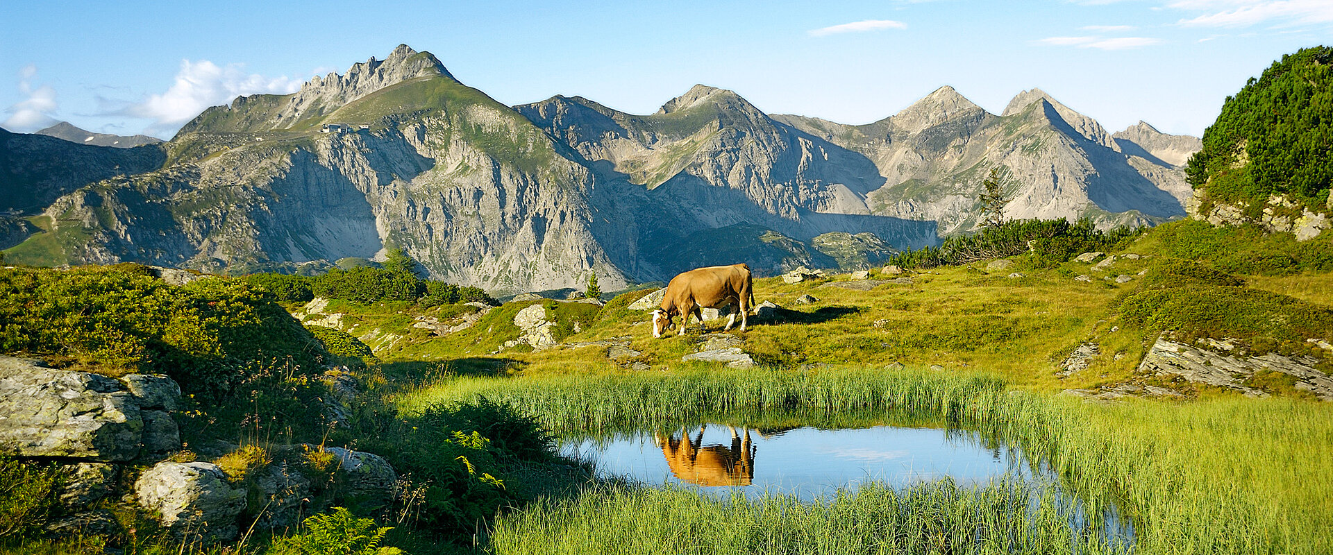 Grüne Landschaft in Obertauern