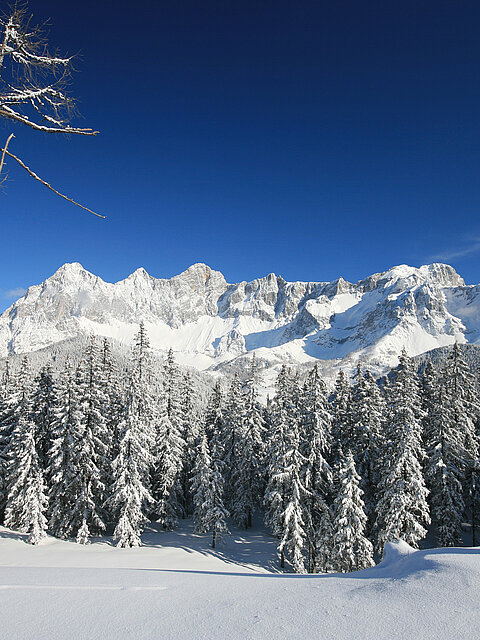 Winterlicher Dachstein Berg