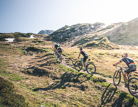 Eine Gruppe beim Radfahren im Aktivurlaub in Österreich in der Nähe des Lürzerhofs