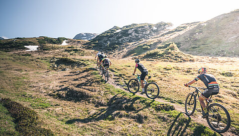 Eine Gruppe beim Radfahren im Aktivurlaub in Österreich in der Nähe des Lürzerhofs