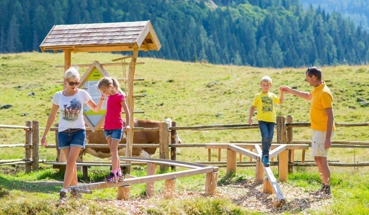 Alles Alm Familienerlebnis auf der Gnadenalm