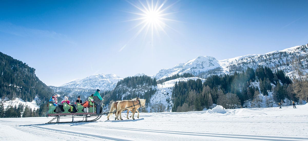 Pferdeschlittenfahrten - Aktiv-Winterurlaub