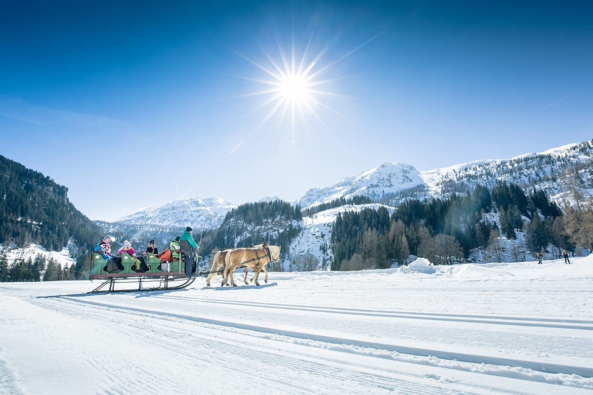 Pferdeschlittenfahrten - Freizeitmöglichkeit in Obertauern