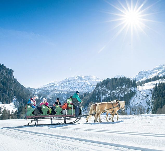 Pferdeschlittenfahrten auf der Gnadenalm