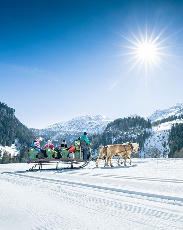 Pferdeschlittenfahrten auf der Gnadenalm